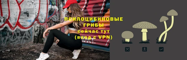 марки lsd Инсар