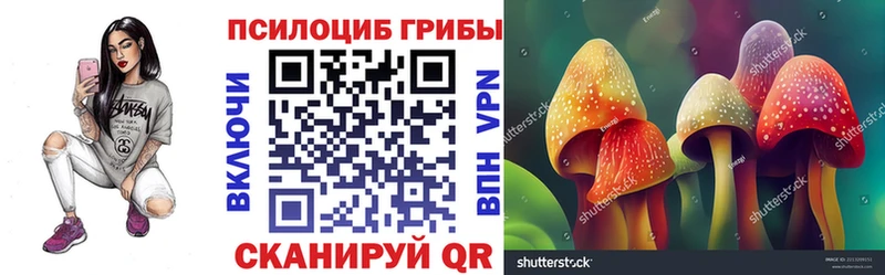 Купить закладки  Гурьевск  Галлюциногенные грибы MAGIC MUSHROOMS 