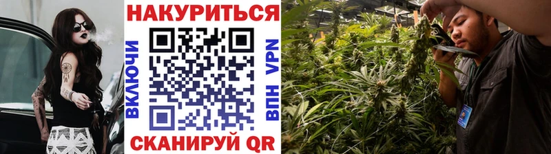 Купить где Гурьевск Каннабис OG Kush